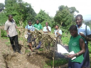 Medicinal Plants