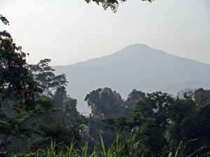 Mount Cameroon