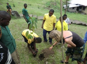 Tree Nursery