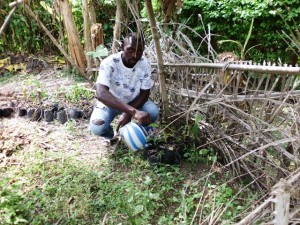 Tree Nursery