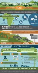 Forest Management Forest Management in Cameroon