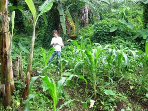 Youths and Agriculture-Green Cameroon 1