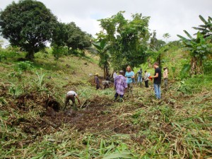 Community Development.Green Cameroon