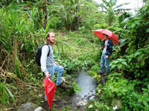 Green Cameroon.Community Development 2