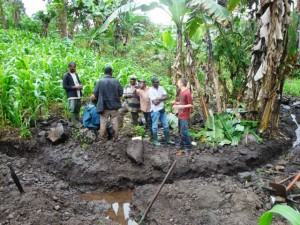 Community Development.Green Cameroon