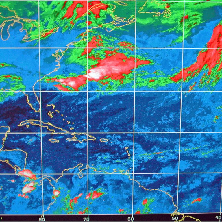 GREEN CAMEROON ON WORLD METEOROLOGICAL DAY 2019