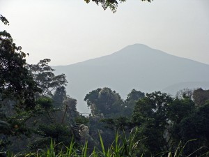 Green Cameroon Mount Cameroon