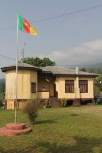 Mount CEO office