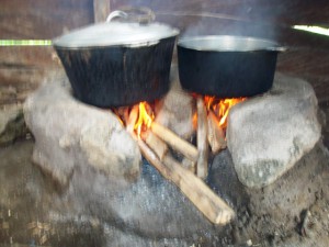 Green Cameroon Stoves