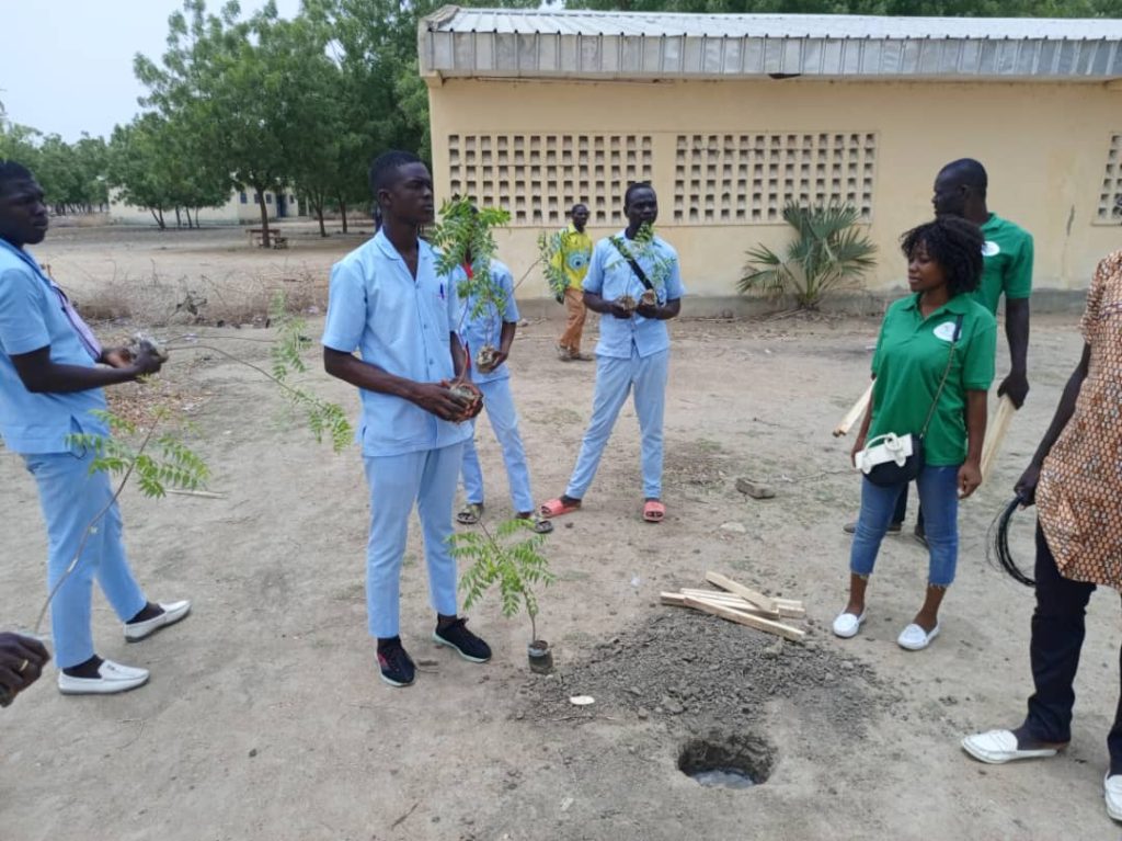 Green Cameroon. Tree Planting Maroua